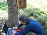 Camera box for pygmy owl