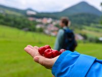 Zážitkový seminář v Českém středohoří u sedláka Daniela Pitka