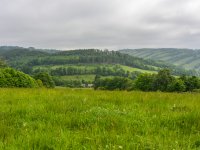 Výzkum plužin