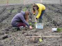 Experiment s biouhlem zaujal česká média