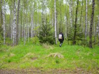 Field research of the Eurasian woodcock