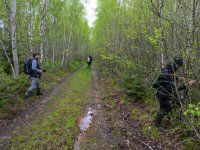 Field research of the Eurasian woodcock