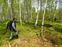 Field research of the Eurasian woodcock