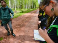 Field research of the Eurasian woodcock