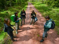 Field research of the Eurasian woodcock