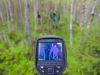 Field research of the Eurasian woodcock