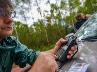 Field research of the Eurasian woodcock