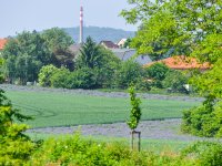 Biopásy na pražských polích