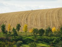 Velké Hostěrádky farming